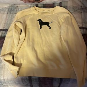 Black dog sweater
